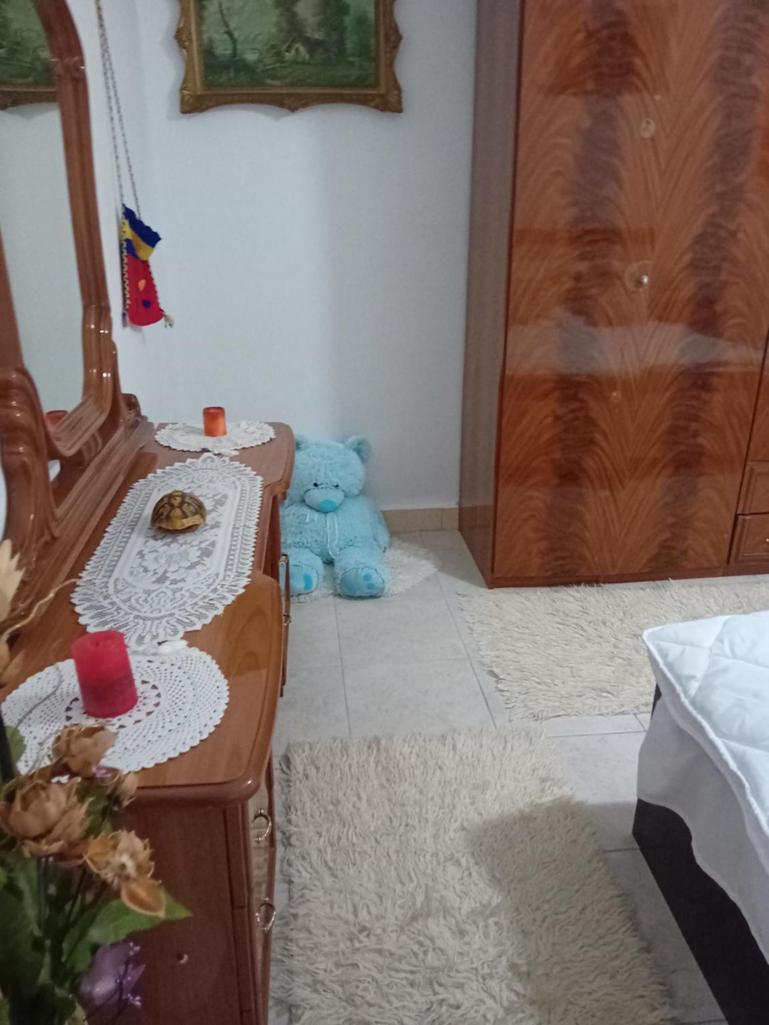 Olivia Guesthouse Gjirokastra Zewnętrze zdjęcie